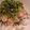 ＫＩＸ's cooksnap of when they made ツナアボカド丼.