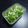 こくぼっち's cooksnap of when they made 夏☆薬味.