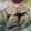 わぁこさん。's cooksnap of when they made 巻いて❀チーズ かつおぶし マヨおにぎり.