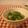 ローズレース's cooksnap of when they made 新野菜！プチヴェールのごま和え.