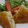 ＊すずの＊'s cooksnap of when they made 極うま☆彡はんぺんのはさみ揚げ！！.