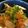 にこ25252525's cooksnap of when they made 新玉ねぎのオイルサーディン丼.