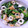 チヒナコ's cooksnap of when they made 春菊とちくわのごまマヨ和え.
