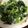 サトモユリア's cooksnap of when they made ポン酢、マヨネーズでほうれん草のお浸し♪.