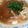 ☆めぐぅー☆'s cooksnap of when they made カレーラーメン.