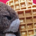 korakko's cooksnap of when they made ビタントニオで～プリン風味ワッフル♪.