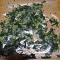 大浦梨湖's cooksnap of when they made ばあちゃんの大根の葉で漬物.