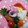 フーミン✩'s cooksnap of when they made 可愛い♡かまぼこdeちょうちょ✿.