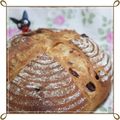 るなまりー's cooksnap of when they made クランベリーのカンパーニュ.