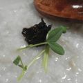 Apple_Home's cooksnap of when they made おそばのおかゆ.