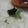 Apple_Home's cooksnap of when they made おそばのおかゆ.