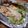 kako0901's cooksnap of when they made 鮭の味噌マヨ☆チャンチャン焼き.