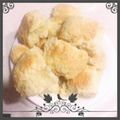 fmao's cooksnap of when they made HM　ビスケット風.