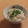 もんしゅしゅ's cooksnap of when they made おばあちゃんの茄子の白和え.