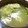 海天藍's cooksnap of when they made 『えのき氷』で旨みたっぷり♪おねぎスープ.
