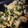 жゆきにゃж's cooksnap of when they made シャキッとふわぁ〜水菜の卵とじ.