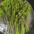 よちりんのまーちゃん's cooksnap of when they made 重曹deわらびのあく抜き/保存方法.