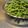貝殻ちゃん's cooksnap of when they made 【農家のレシピ】美味しい枝豆の茹で方.