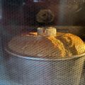 畑案山子's cooksnap of when they made きな粉シフォンケーキ.