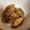 ごくま's cooksnap of when they made ごぼうの甘酢からめ.