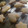おれんじきゅらそー's cooksnap of when they made 簡単＆おいしい！　来客用クッキー♪.