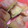 めろにゃんこ♪'s cooksnap of when they made 簡単！早い！かぼちゃの煮付け.