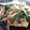 ヤコピィcook's cooksnap of when they made 豆腐のステーキ　ニラもやし豚炒めのっけ.