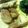 mikkosann's cooksnap of when they made 照り焼きチキン.