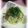 ＴＯＭＯＷＡＴ's cooksnap of when they made じゃこと大葉のまろやかパスタ.