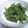 ちはる2011's cooksnap of when they made ほうれん草の胡麻和え.
