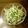ｶｯﾊﾟ。's cooksnap of when they made 簡単一品☆水菜とツナのゴママヨサラダ.