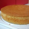 小ちゅ小ふかママ's cooksnap of when they made 簡単！スポンジケーキ！.