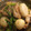 marilin36's cooksnap of when they made 豚肉とカブのサラダ風炒め.