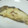 こりんごまま's cooksnap of when they made カレイの煮付け.