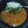 蓮華の花's cooksnap of when they made 我が家のエビカレー。.
