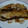 ｍａｋｉｃｈａｎ's cooksnap of when they made これは自信作！(*^^*)銀だらの煮付け.