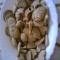 わ〜お's cooksnap of when they made 簡単！型抜きクッキー！.