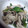 ユーロン's cooksnap of when they made ほうれん草としめじの煮物.