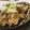 くらやん★'s cooksnap of when they made めっちゃ簡単鶏皮ポン酢★.