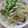 どてらい女's cooksnap of when they made いわし☆ご飯.