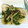 けんころざうるす's cooksnap of when they made タラのネギしょうがあんかけ.