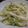 myukitty's cooksnap of when they made りんごと白菜のサラダ.