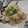 ゆりYO船長's cooksnap of when they made メジナのピリ辛マヨ炒め♫.