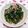 まくのうち's cooksnap of when they made 春の味♫･*:菜の花の辛し和え♫･*:.