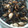 かわいい星優のママ's cooksnap of when they made 大豆とひじきの煮物.