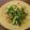 七氷♪'s cooksnap of when they made ecoおかず＊蕪の葉炒め.