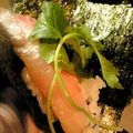 おたく！'s cooksnap of when they made 絶品！手巻き寿司　最強つまみ.