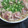 ニャン太7's cooksnap of when they made たたき風♪マグロの黒胡椒焼.