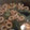 翔仁LOVE's cooksnap of when they made めんつゆで水菜の煮浸し.
