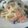ぷくーのほっぺ's cooksnap of when they made サーモンときのこのクリームパスタ.